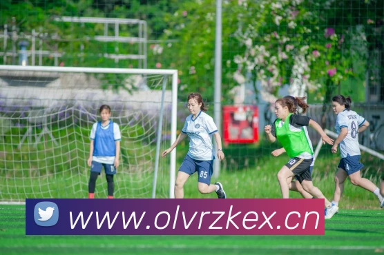 乐鱼官方在线平台入口平台生态图